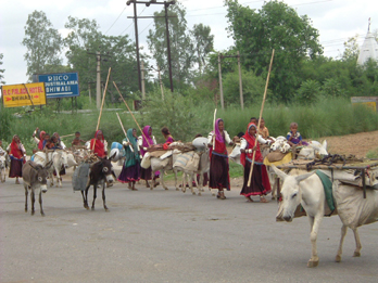 Nomadi Rajasthan, India